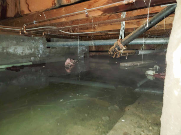 Best Fire Damage Restoration  in Adairsville, GA