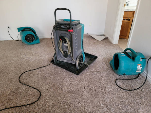 Best Commercial water damage restoration  in Adairsville, GA
