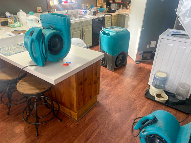 Best 24-hour water damage restoration  in Adairsville, GA